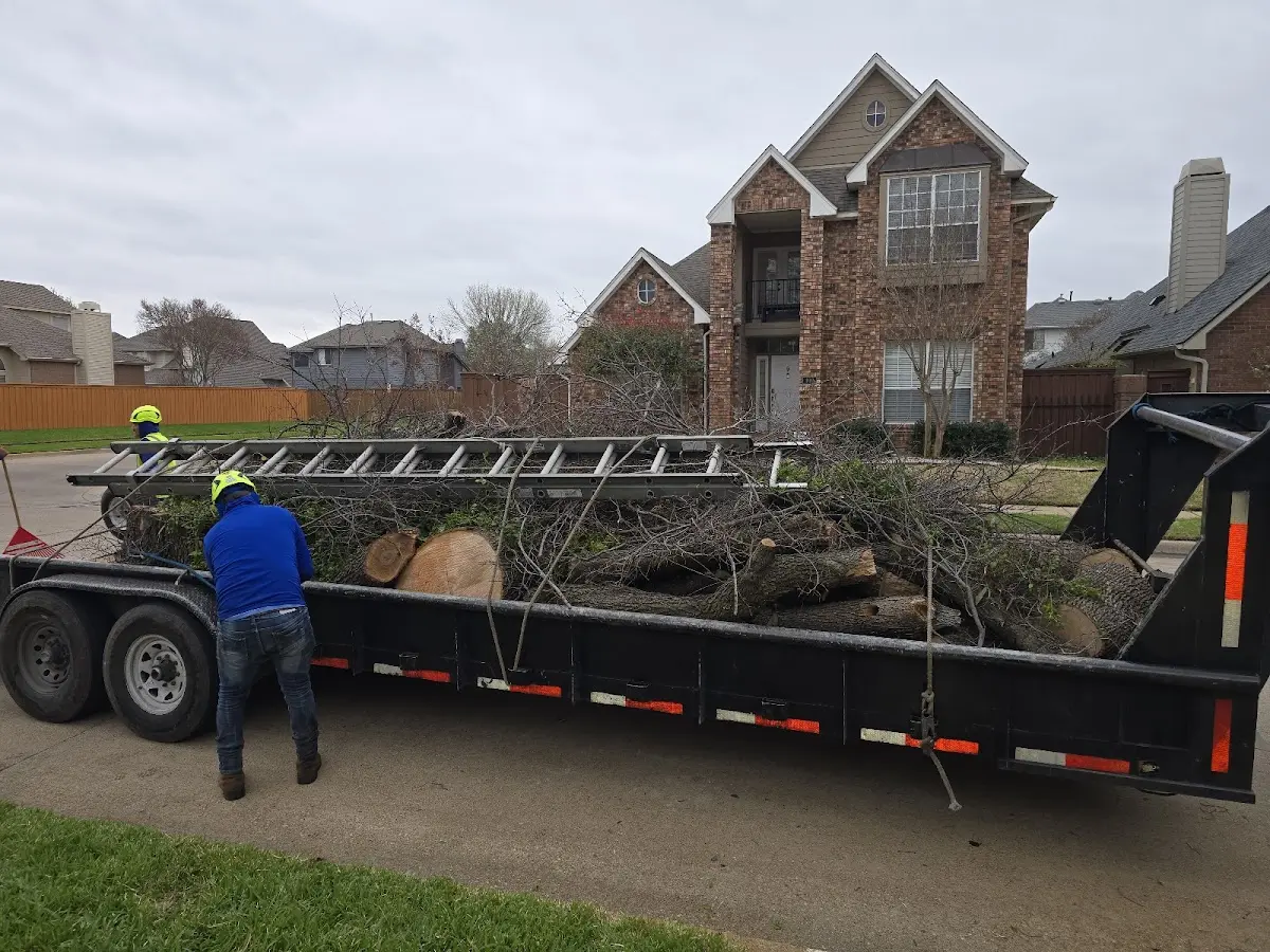 Expert Tree Fertilization with proper safety equipment in Pemberville